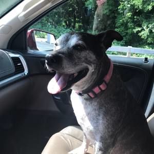 Meet your Posher, Jenn